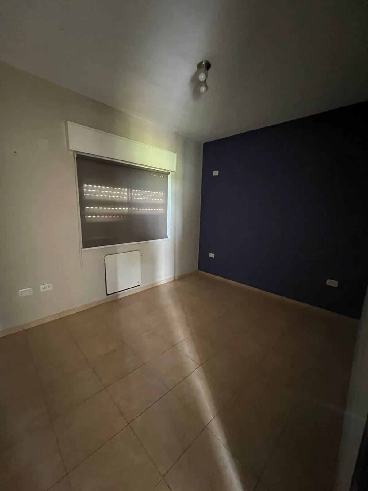 Imagen de WhatsApp 2024-11-04 a las 11.06.53_8f1861b5