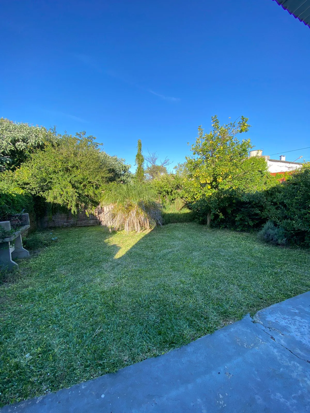 WhatsApp Image 2025-05-15 at 08.48.13