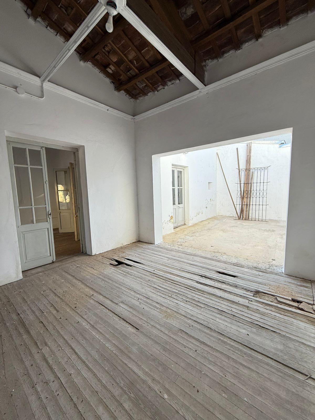 WhatsApp Image 2025-07-07 at 15.55.44