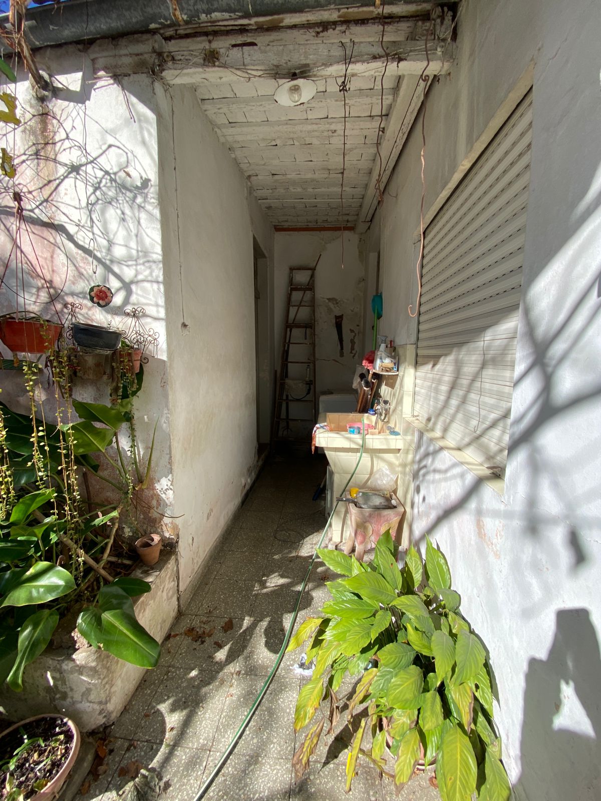 WhatsApp Image 2025-07-28 at 16.16.45 (1)