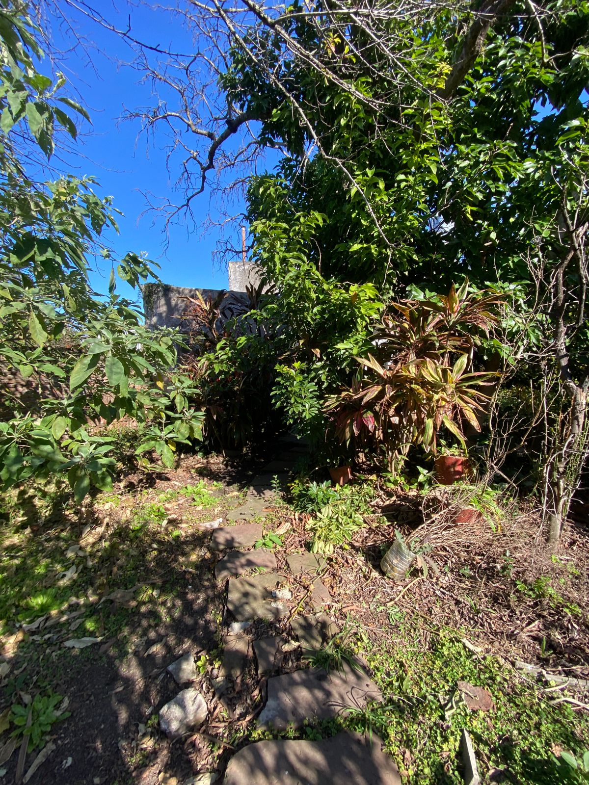 WhatsApp Image 2025-07-28 at 16.16.45 (3)