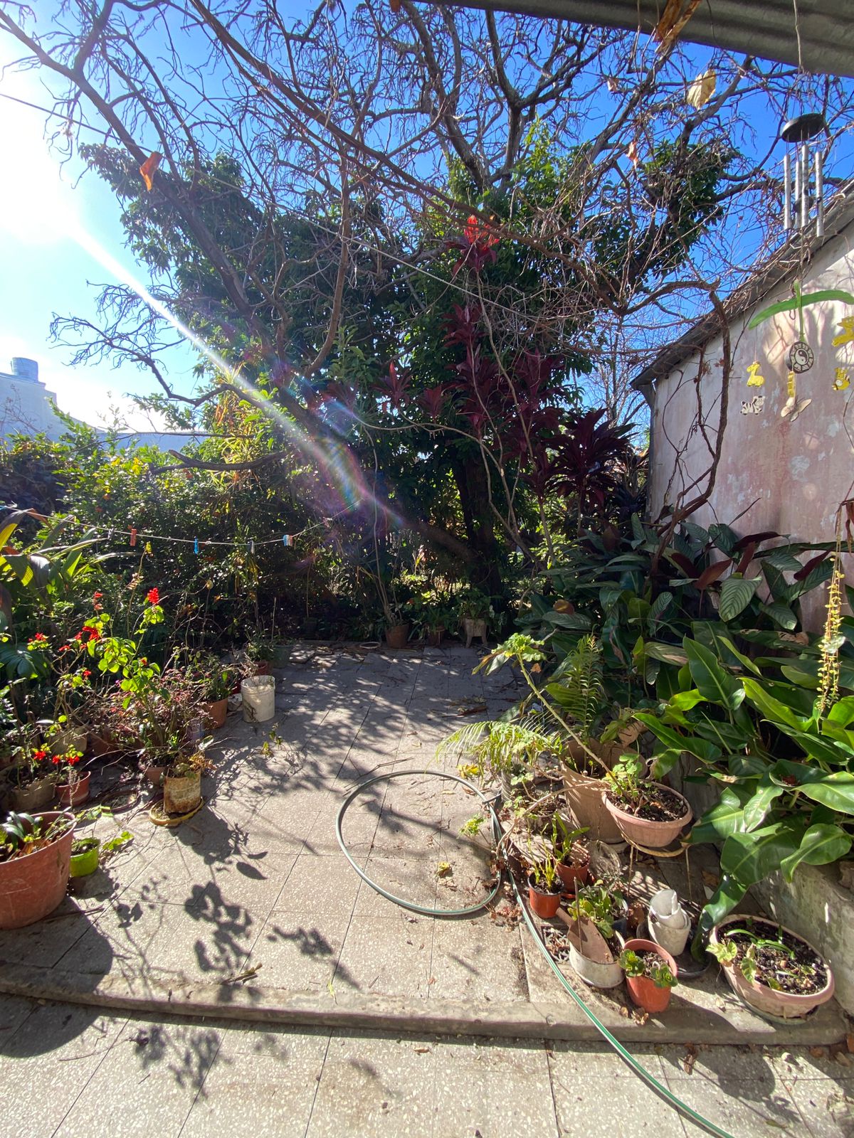 WhatsApp Image 2025-07-28 at 16.16.45