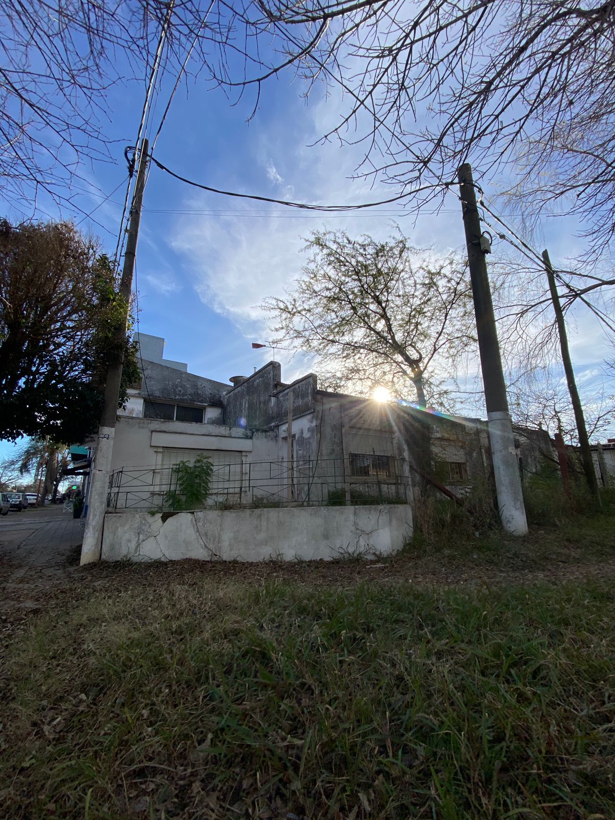 WhatsApp Image 2025-07-29 at 17.17.56