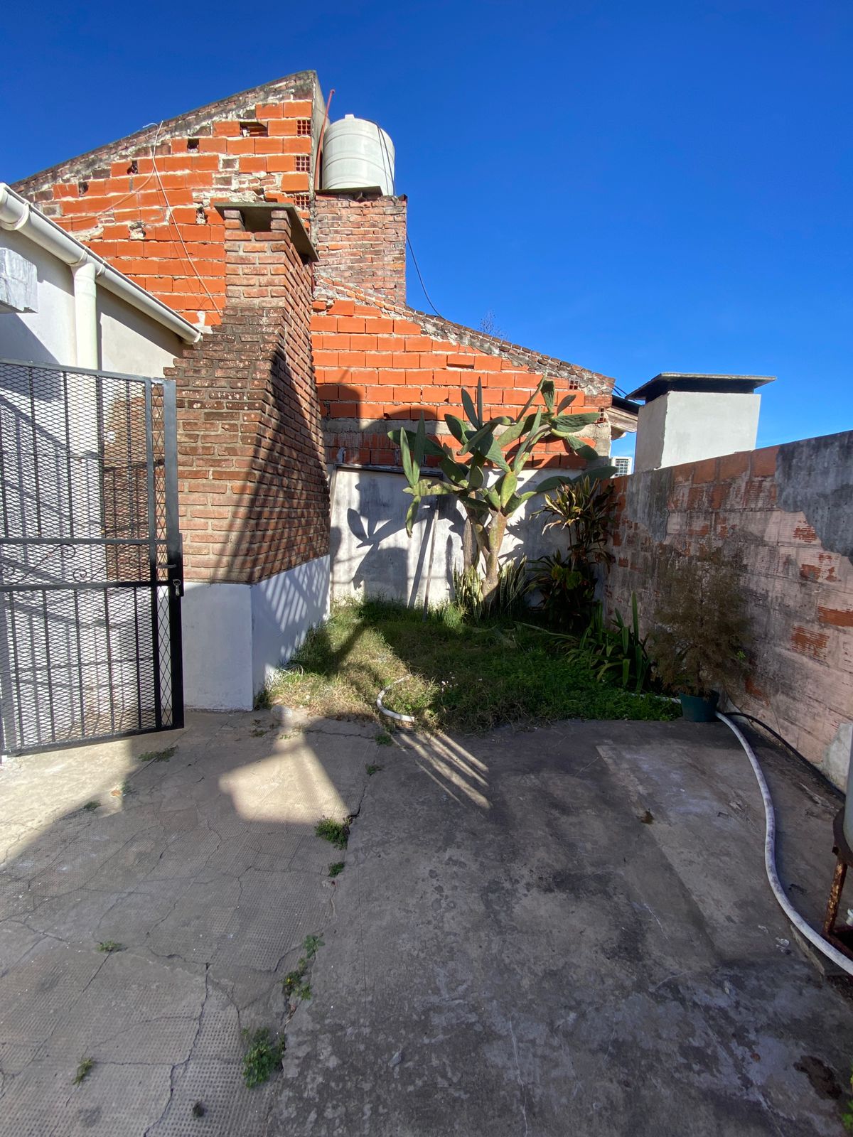 WhatsApp Image 2025-07-30 at 17.04.55 (3)