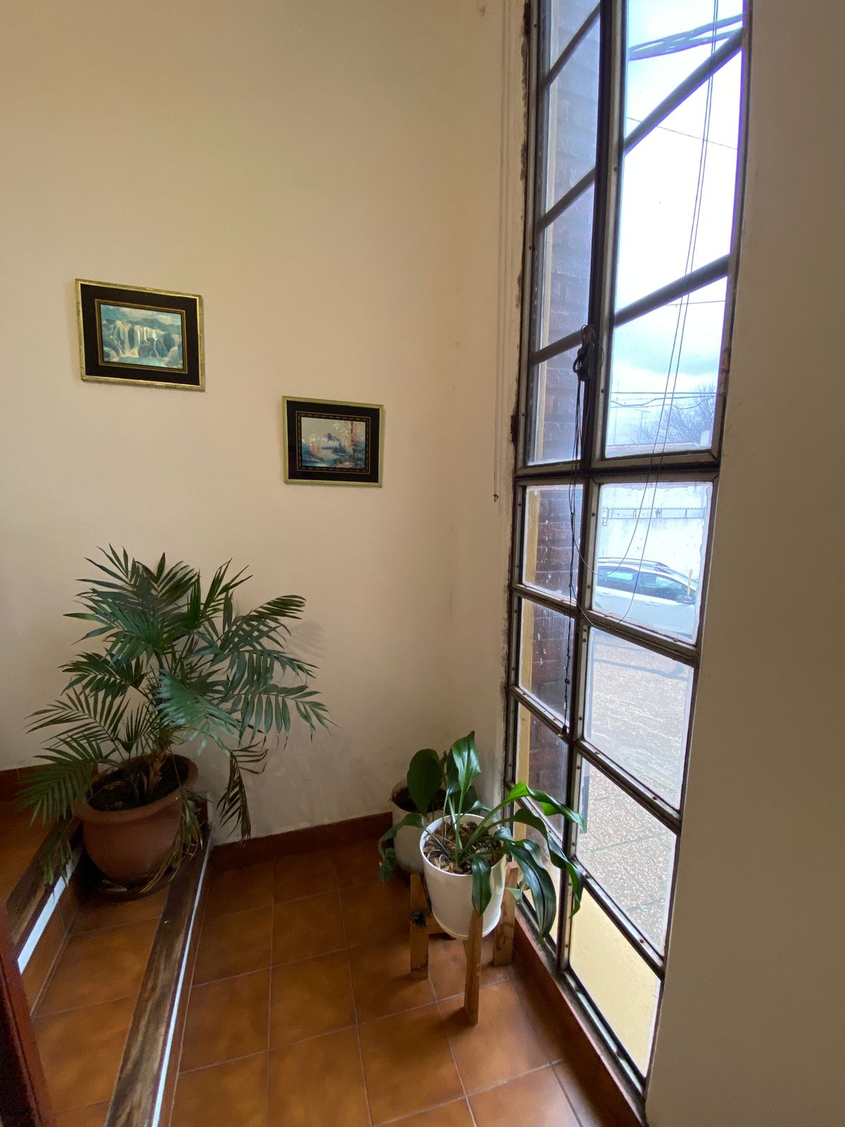 WhatsApp Image 2025-08-04 at 11.35.55 (3)