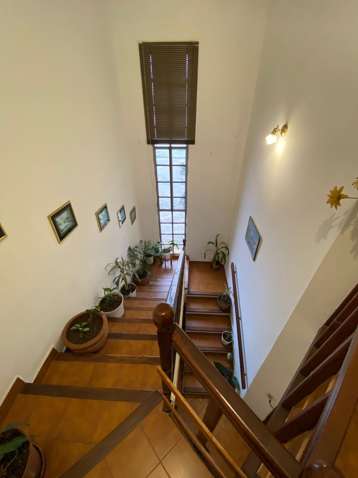 WhatsApp Image 2025-08-04 at 11.35.55 (4)