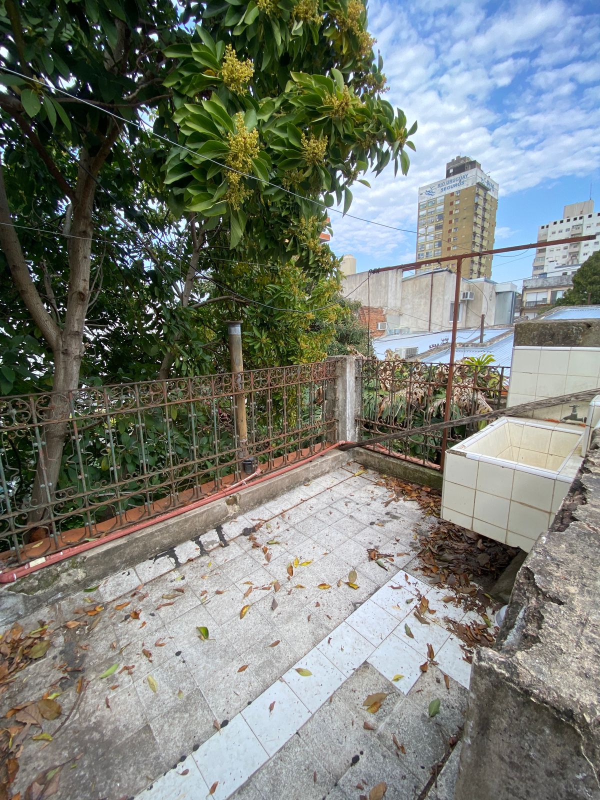 WhatsApp Image 2025-08-18 at 11.07.39