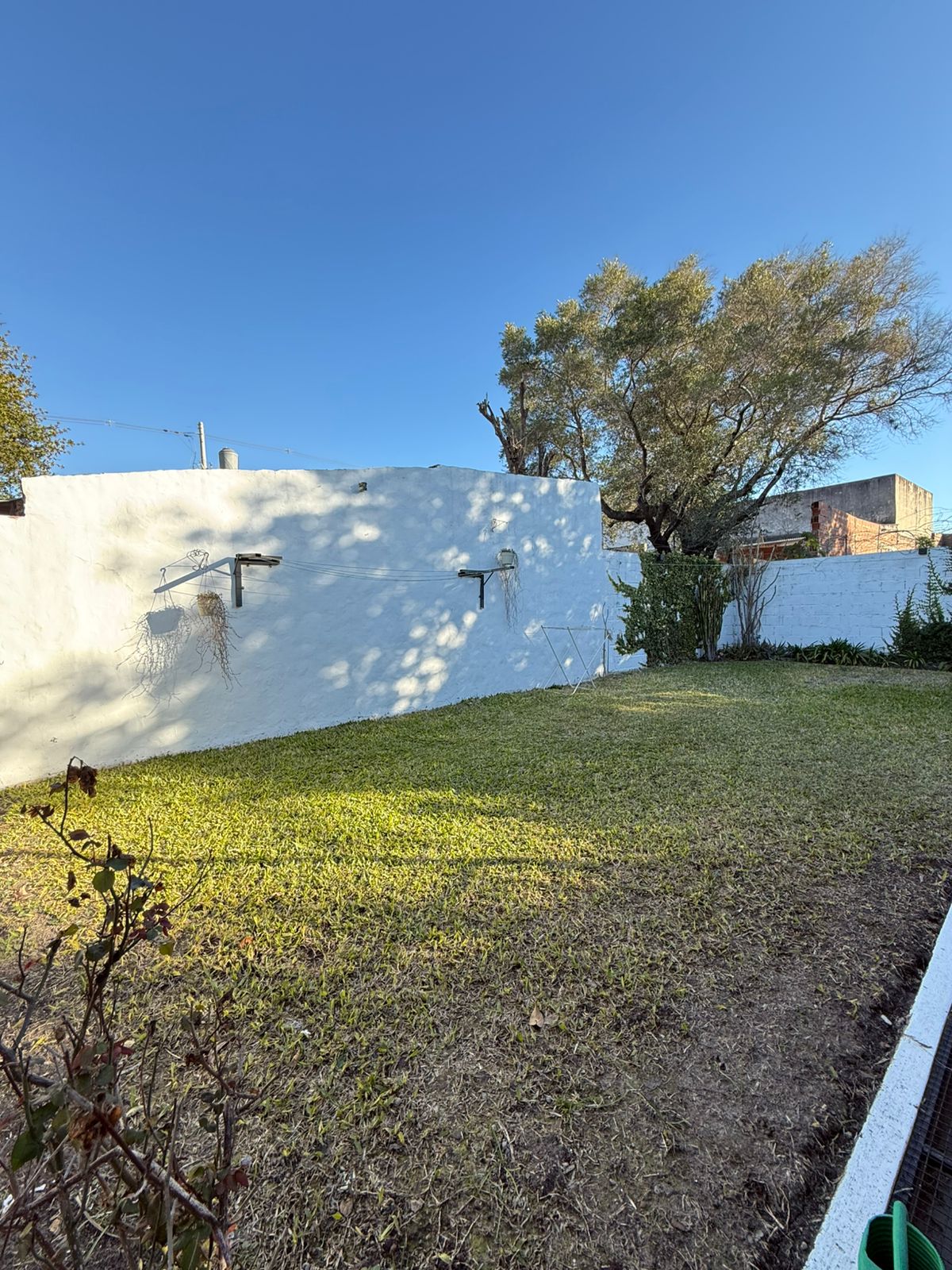 WhatsApp Image 2025-08-14 at 16.57.29 (1)