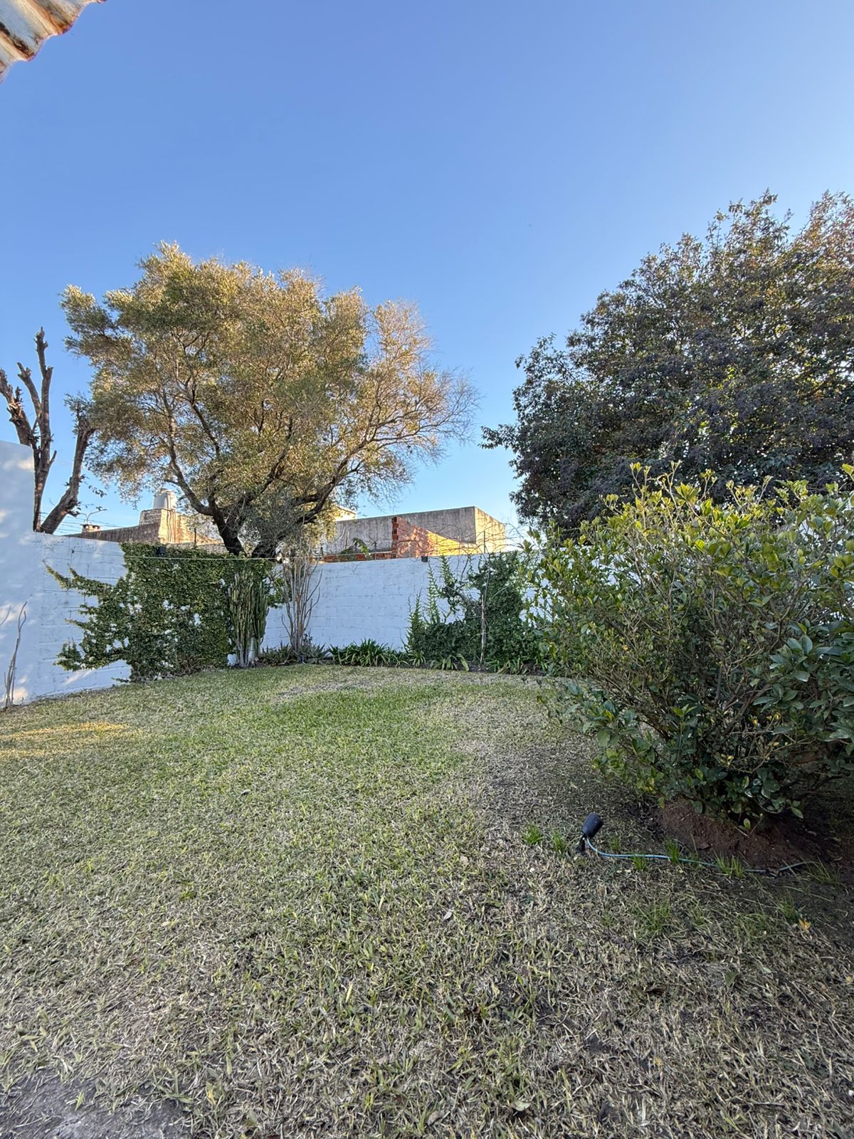 WhatsApp Image 2025-08-14 at 16.57.29