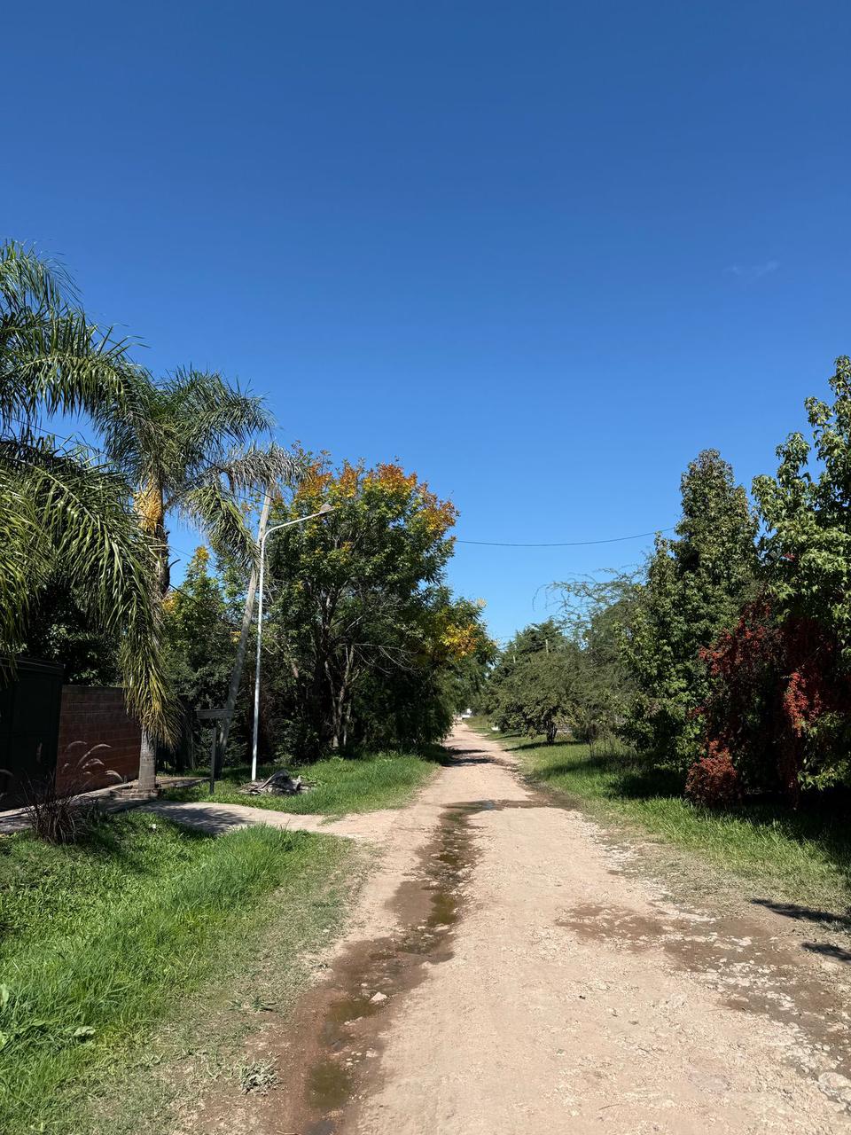 WhatsApp Image 2025-07-11 at 11.20.05 (1)