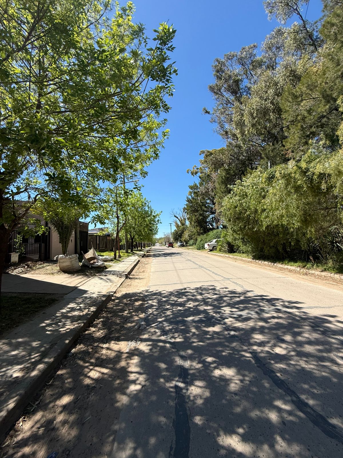 WhatsApp Image 2025-10-01 at 12.08.59