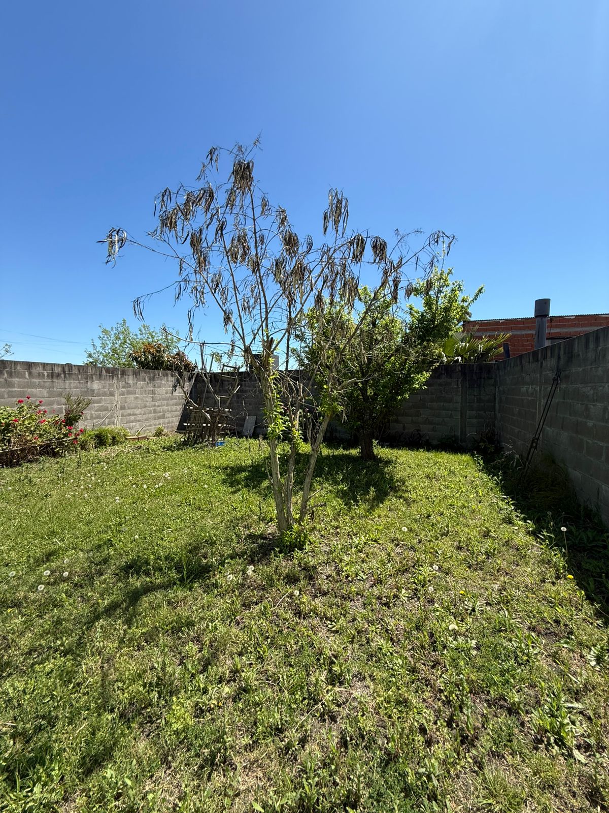 WhatsApp Image 2025-10-01 at 12.09.02 (2)