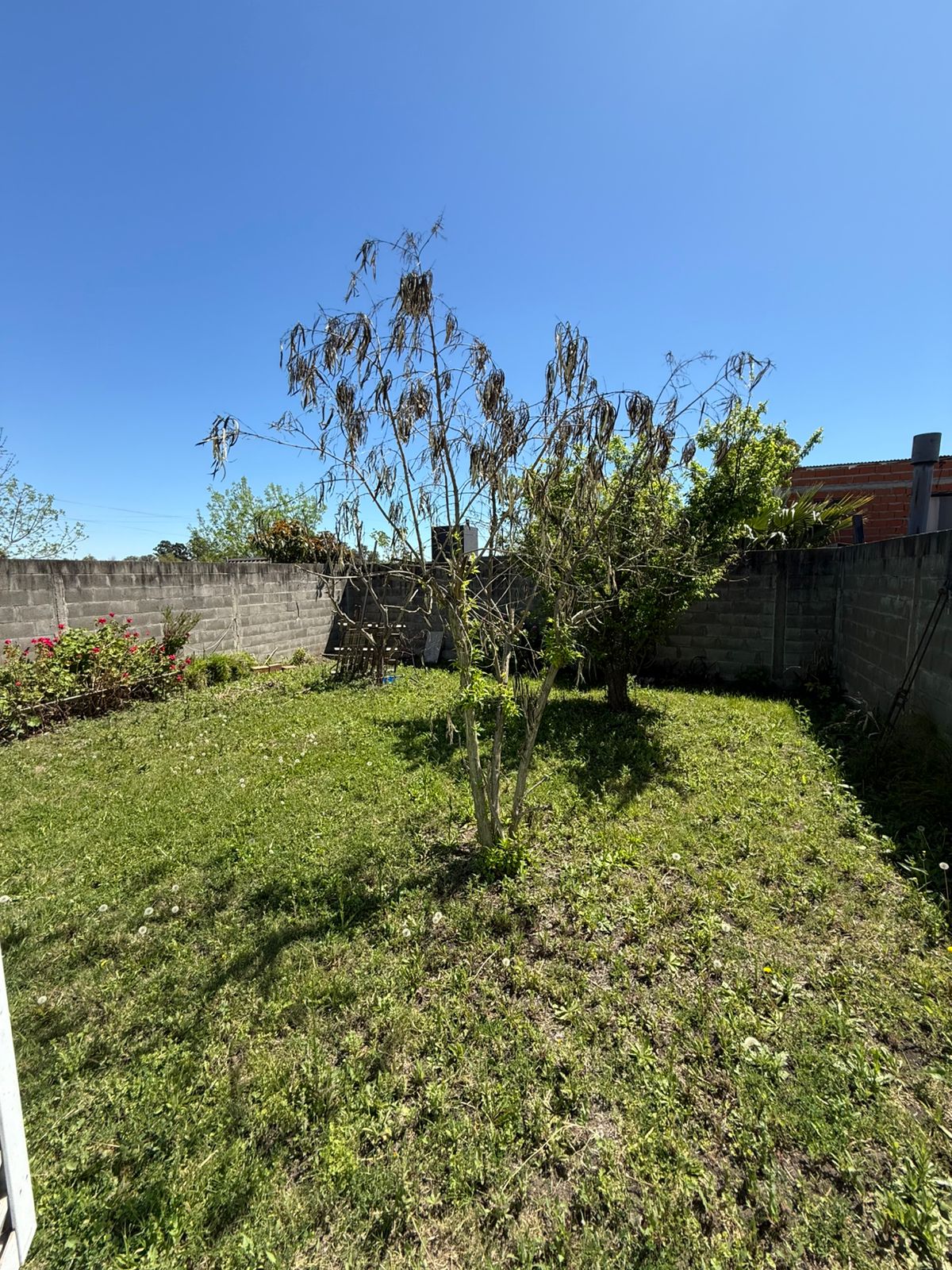 WhatsApp Image 2025-10-01 at 12.09.06