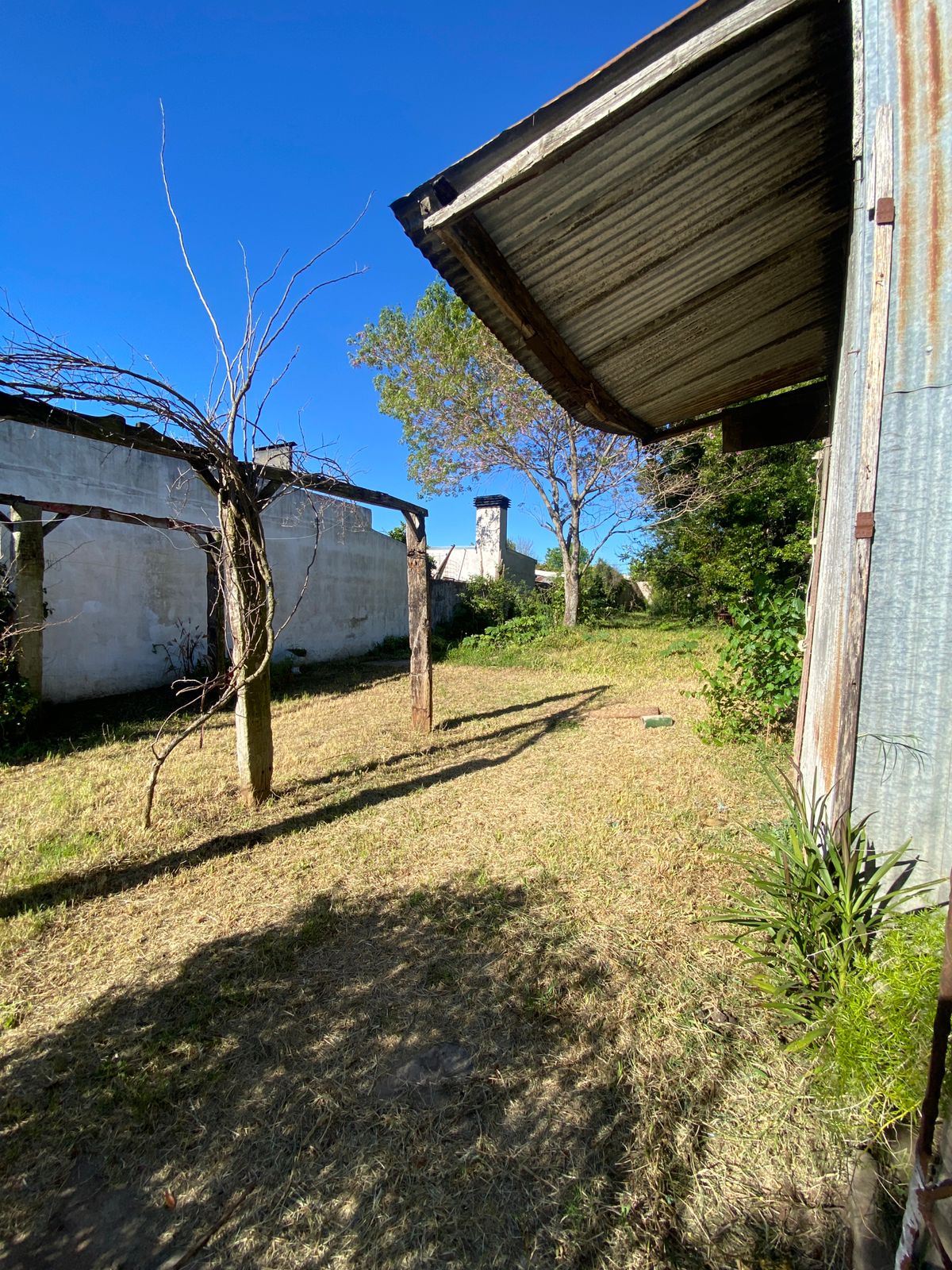 WhatsApp Image 2025-10-13 at 16.58.51 (1)