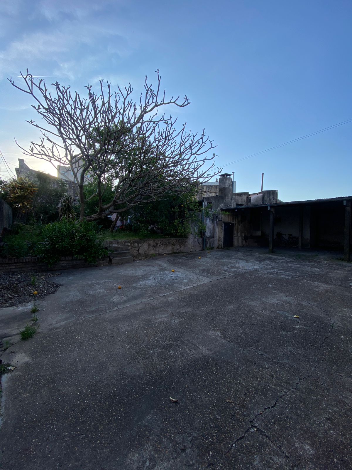 WhatsApp Image 2025-10-23 at 18.32.44 (1)