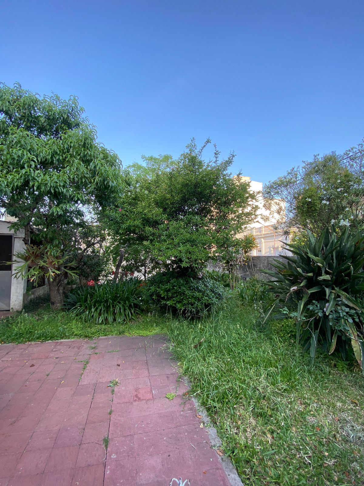 WhatsApp Image 2025-10-23 at 18.32.47