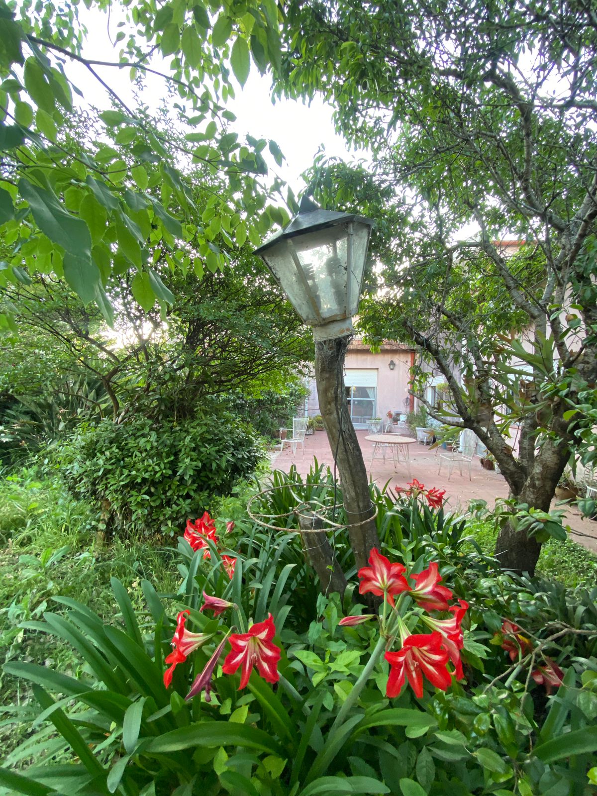 WhatsApp Image 2025-10-23 at 18.32.48 (1)