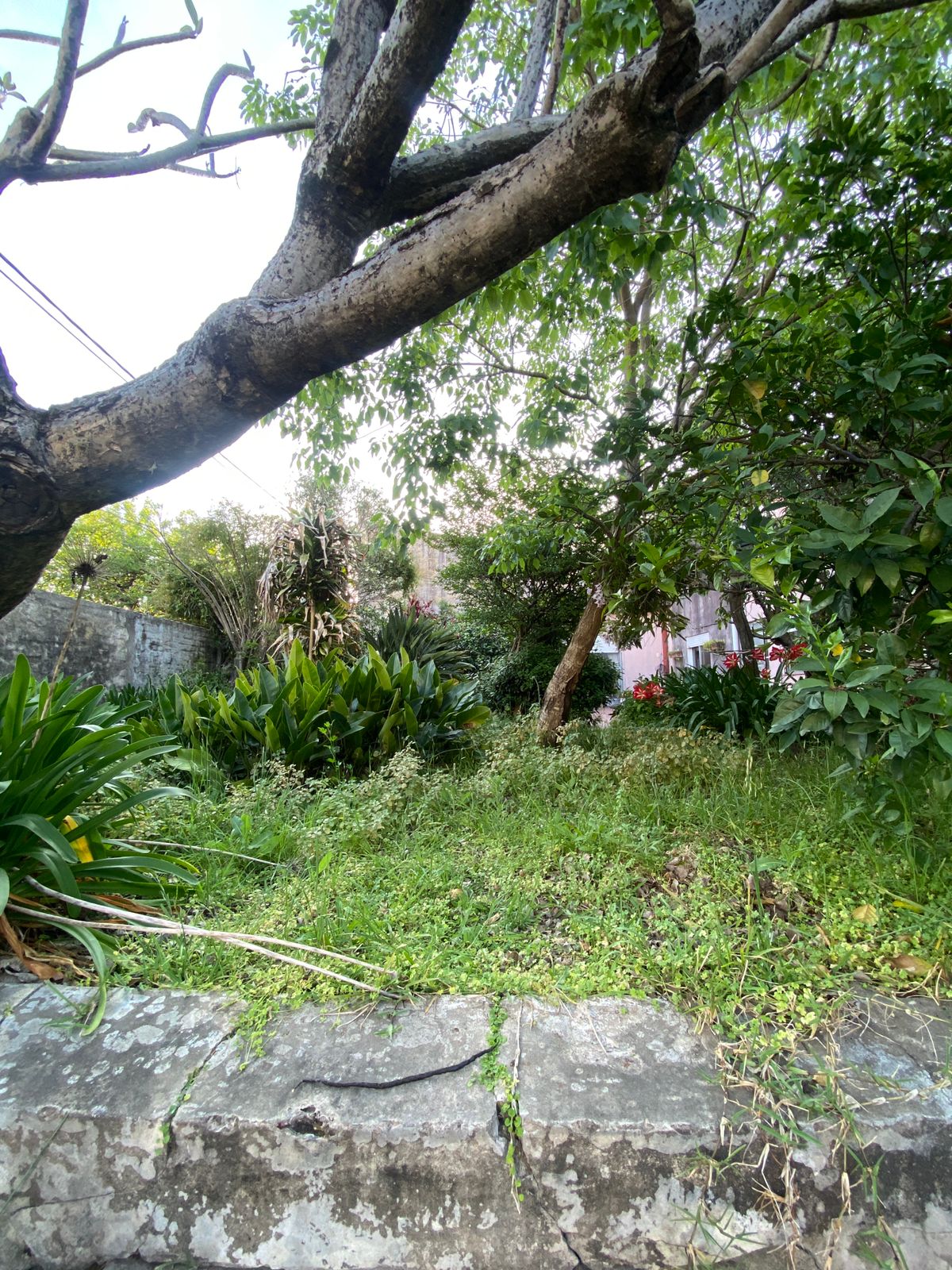 WhatsApp Image 2025-10-23 at 18.32.49