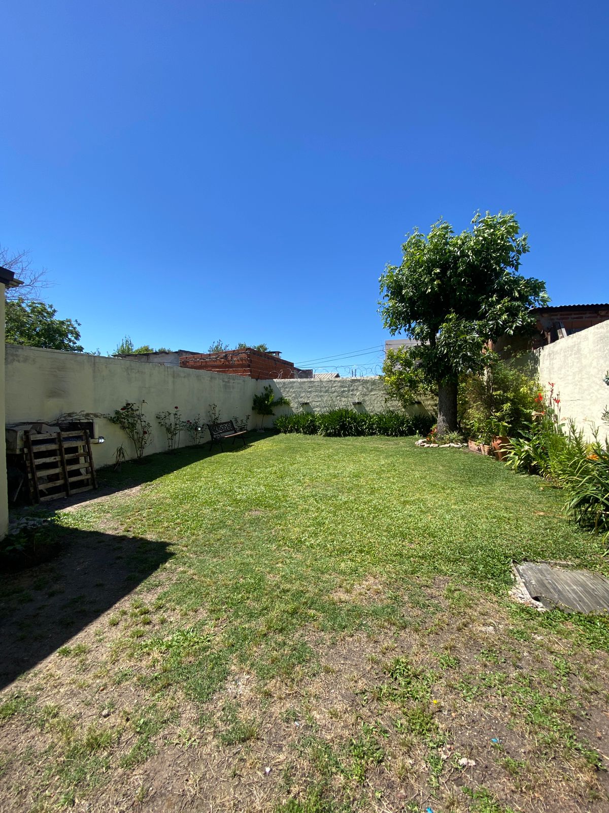 WhatsApp Image 2025-11-11 at 14.31.45 (3)