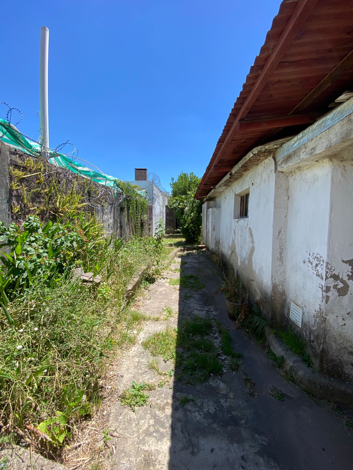 WhatsApp Image 2025-12-03 at 16.10.49 (2)