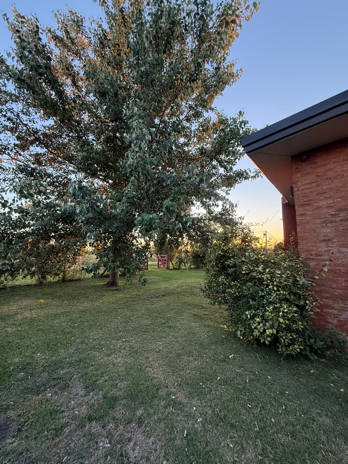 WhatsApp Image 2025-12-04 at 20.33.10