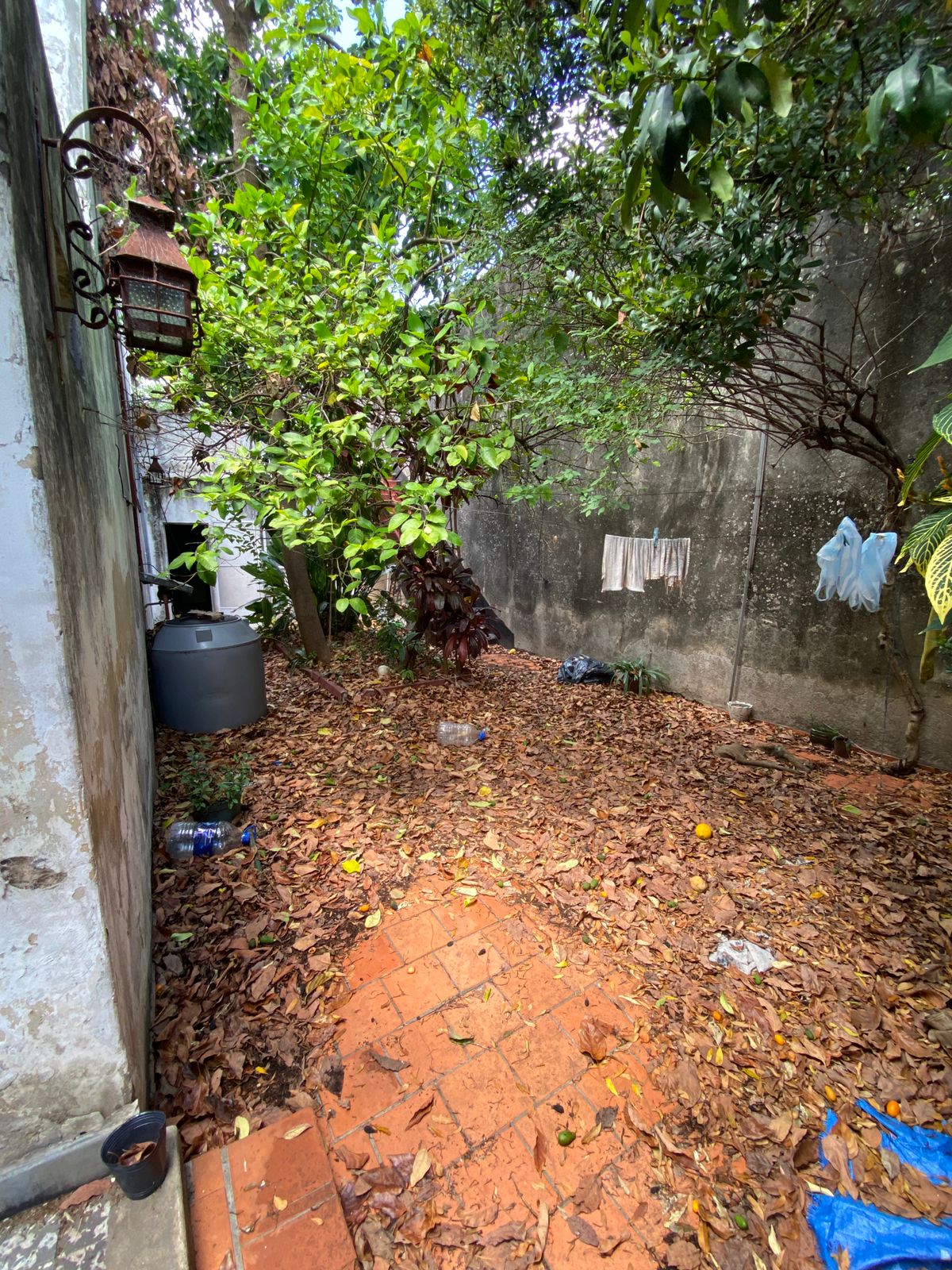 WhatsApp Image 2025-12-10 at 16.26.44 (2)