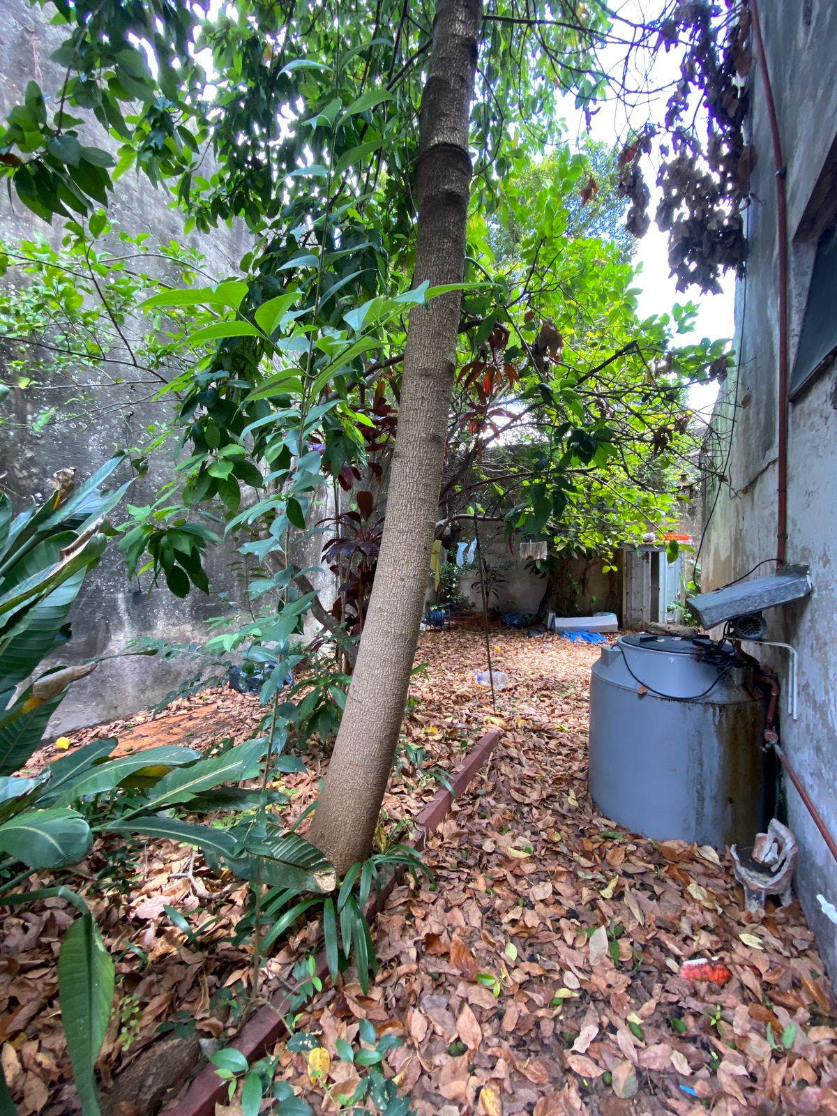 WhatsApp Image 2025-12-10 at 16.26.45