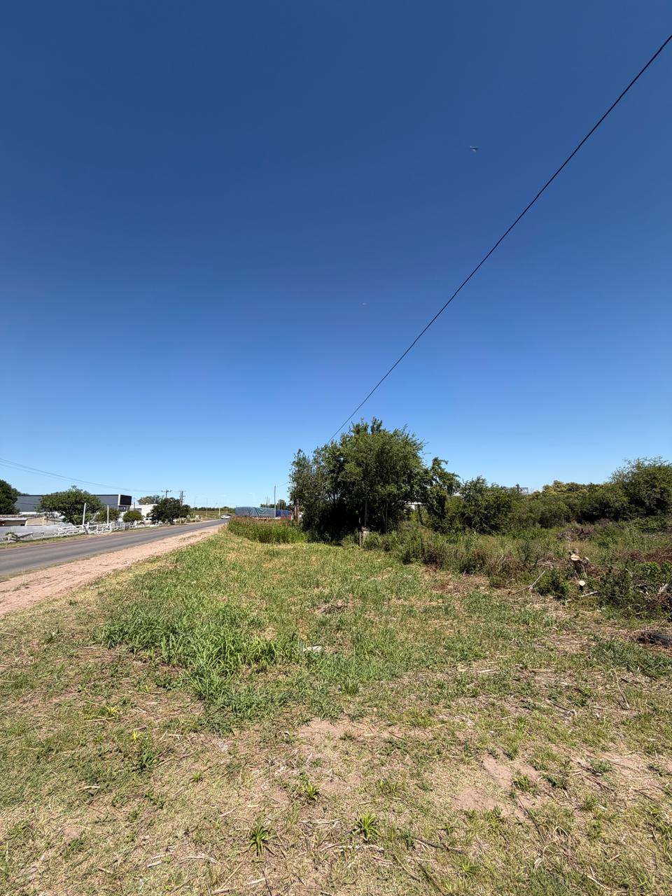 WhatsApp Image 2025-12-12 at 12.11.53 (3)