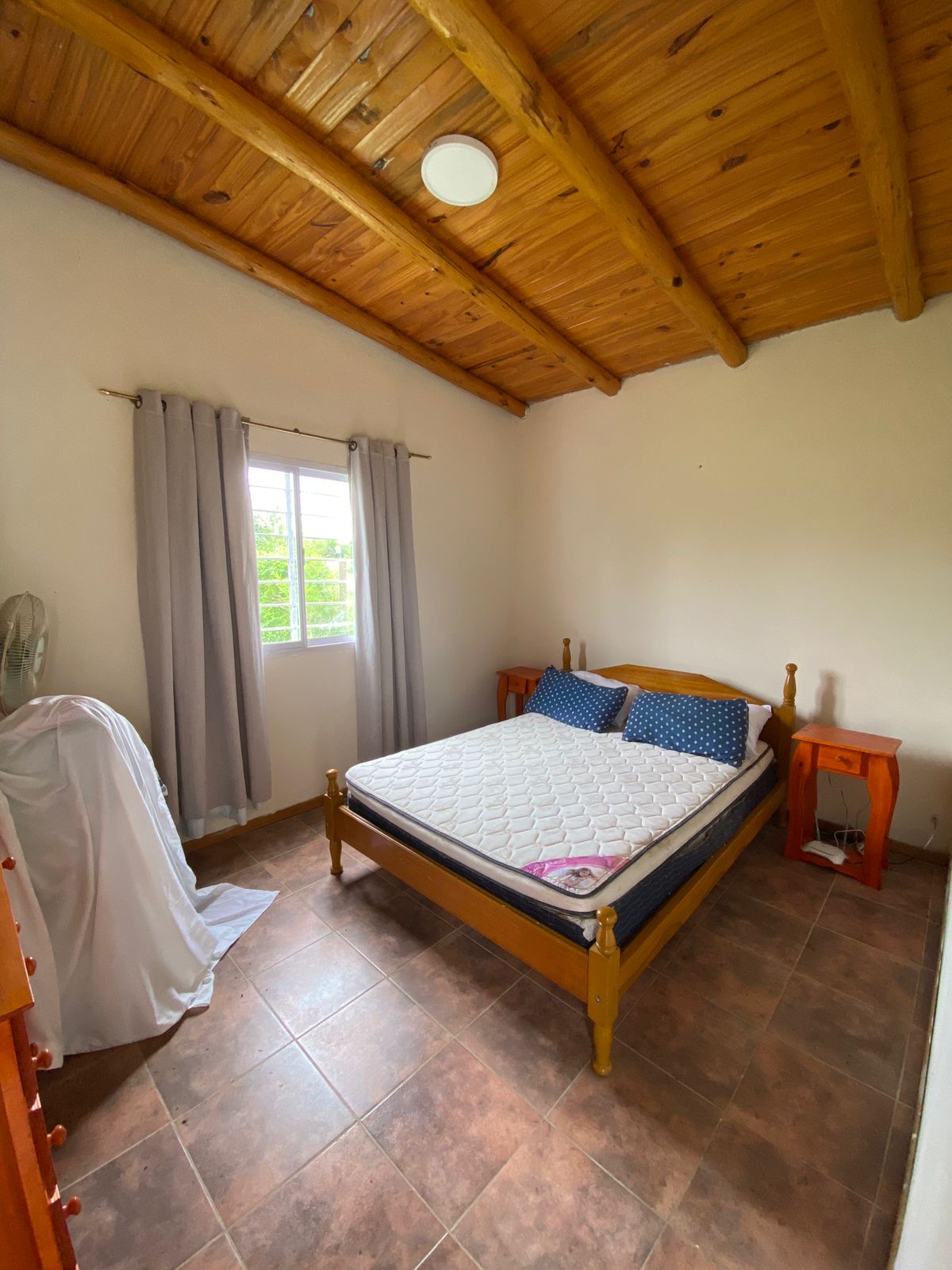 WhatsApp Image 2025-12-22 at 12.02.52